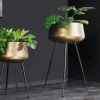 2er Set Blumentopf FLOWERS 65cm messing gold schwarz Hammerschlag-Design