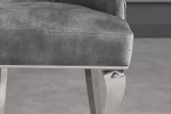 Stuhl MODERN BAROCK DELUXE grau Samt silber Edelstahlbeine mit Löwenkopf
